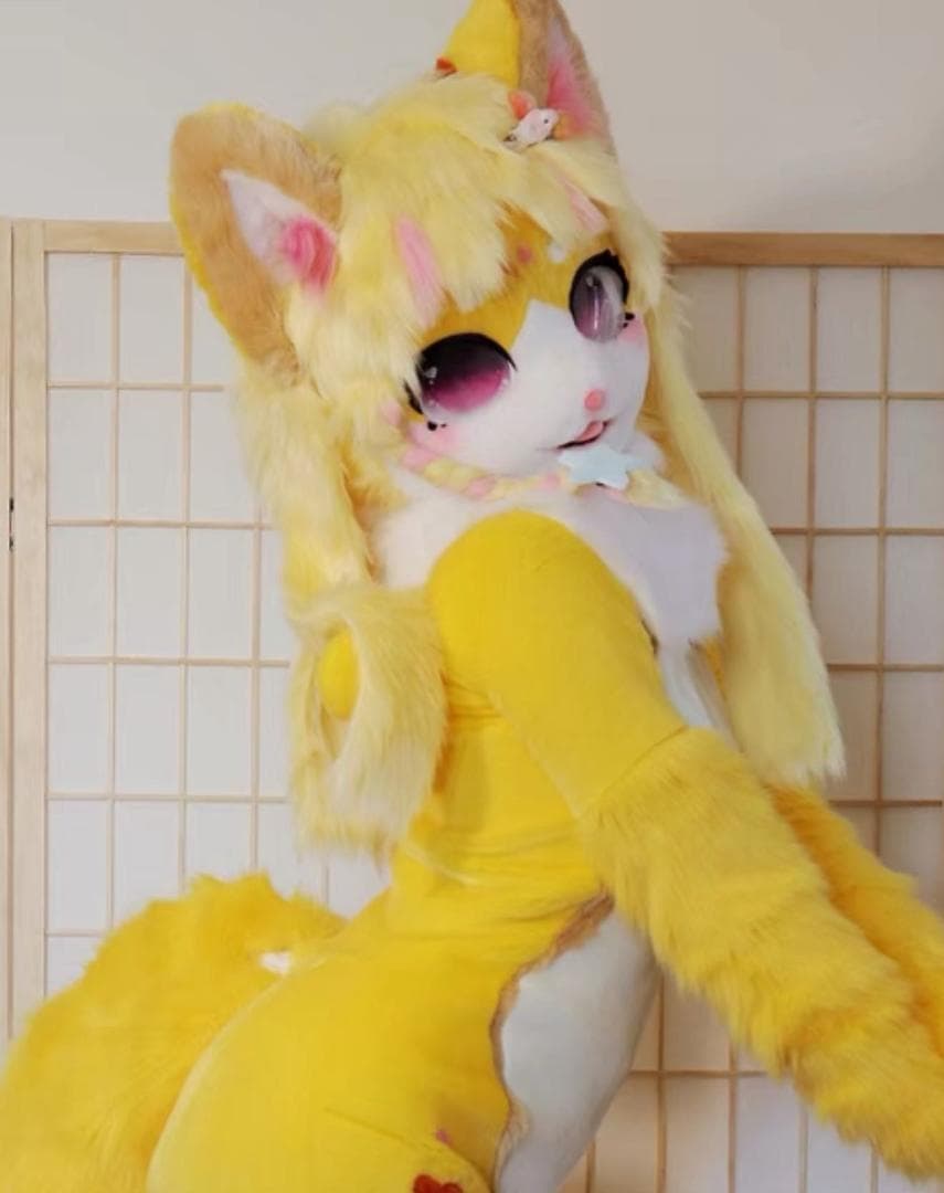 氷華(ひょうか)着ぐるみ依頼したい　