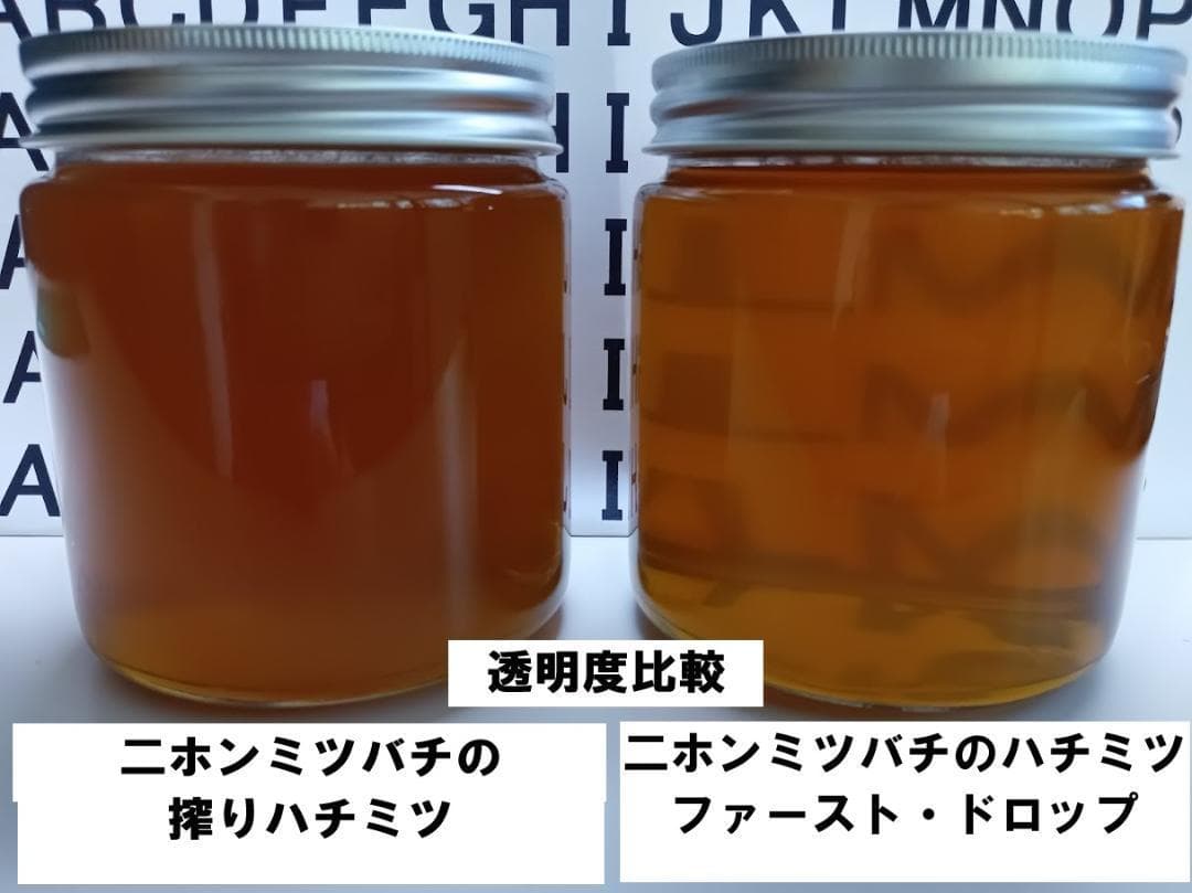 「二ホンミツバチのハチミツ　ファースト・ドロップ」600g×2本