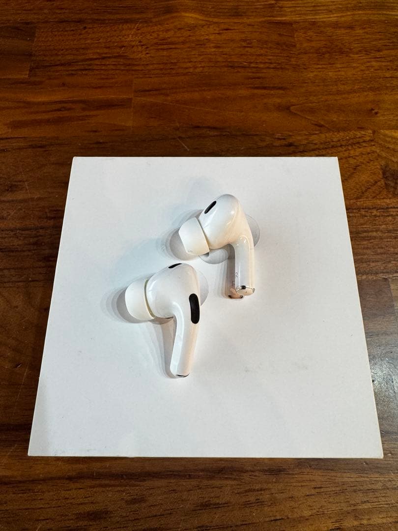 Apple AirPods Pro 本体