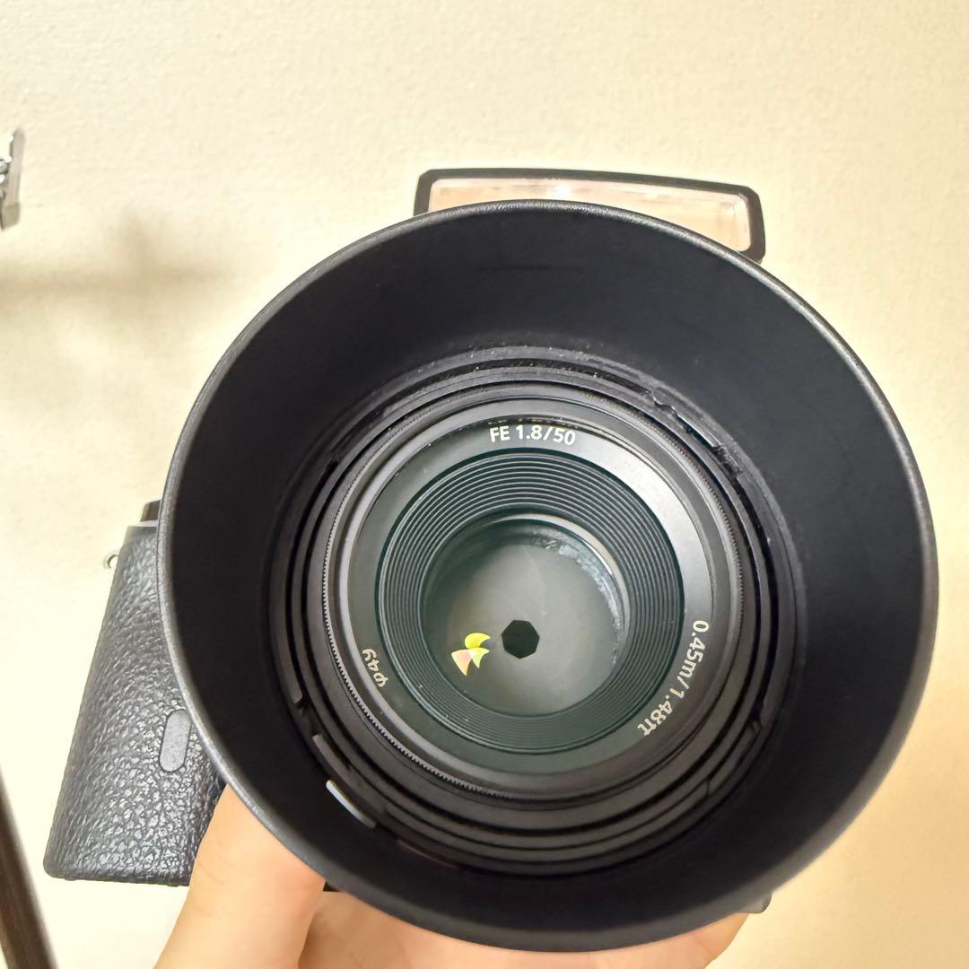 SONY α7＋FE 50mm F1.8+Godox Lux Junior