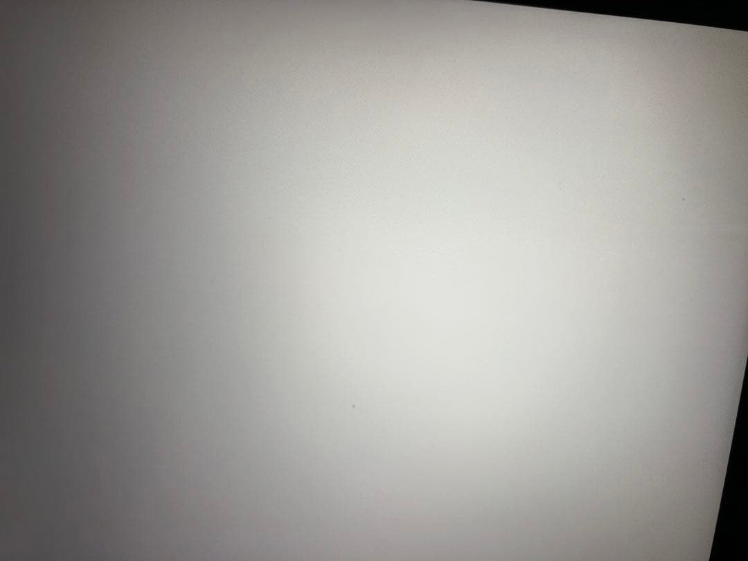 iPad Pro 11インチ (第1世代）512GB SIMフリー No.39