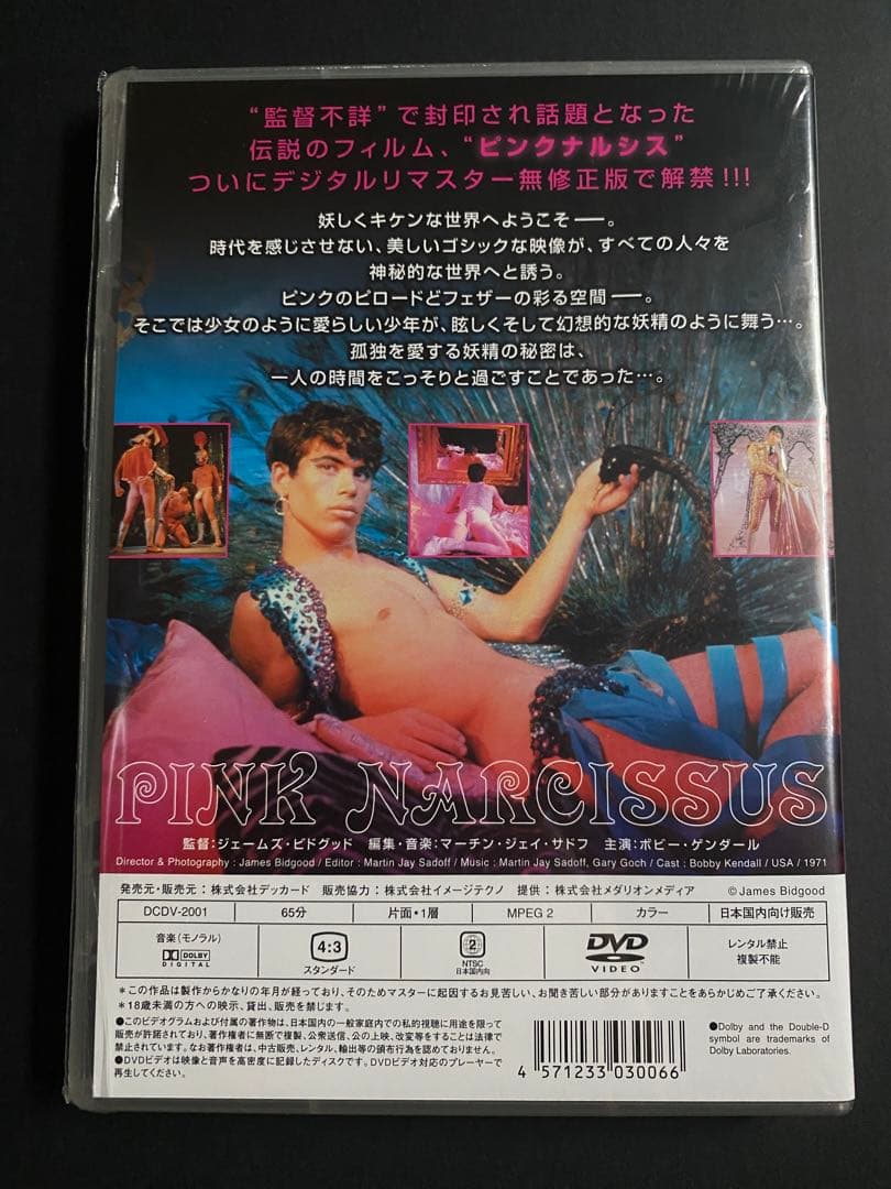 【DVD廃盤稀少】ピンクナルシス ノーカット無修正版　超入手困難70sアングラ