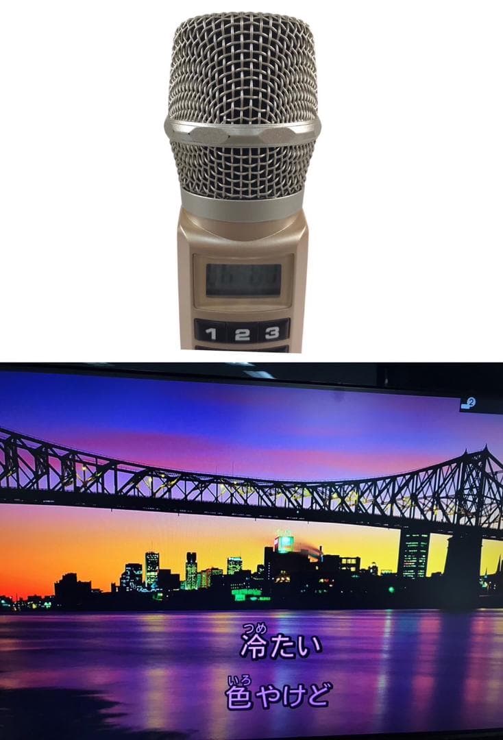 ★良品★ 家庭用パーソナル カラオケ オン・ステージ PK-WT01