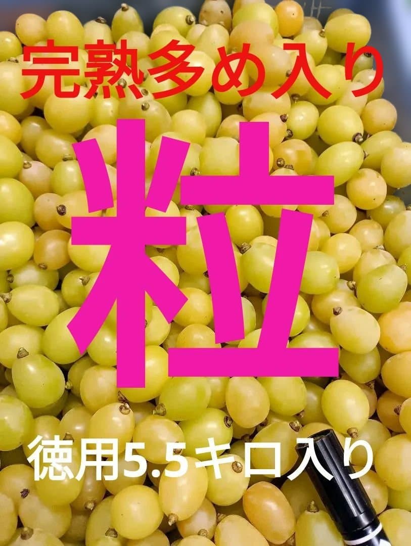 シャインマスカット増量の、完熟多め入り徳用5.5キロの粒バック入りになります。