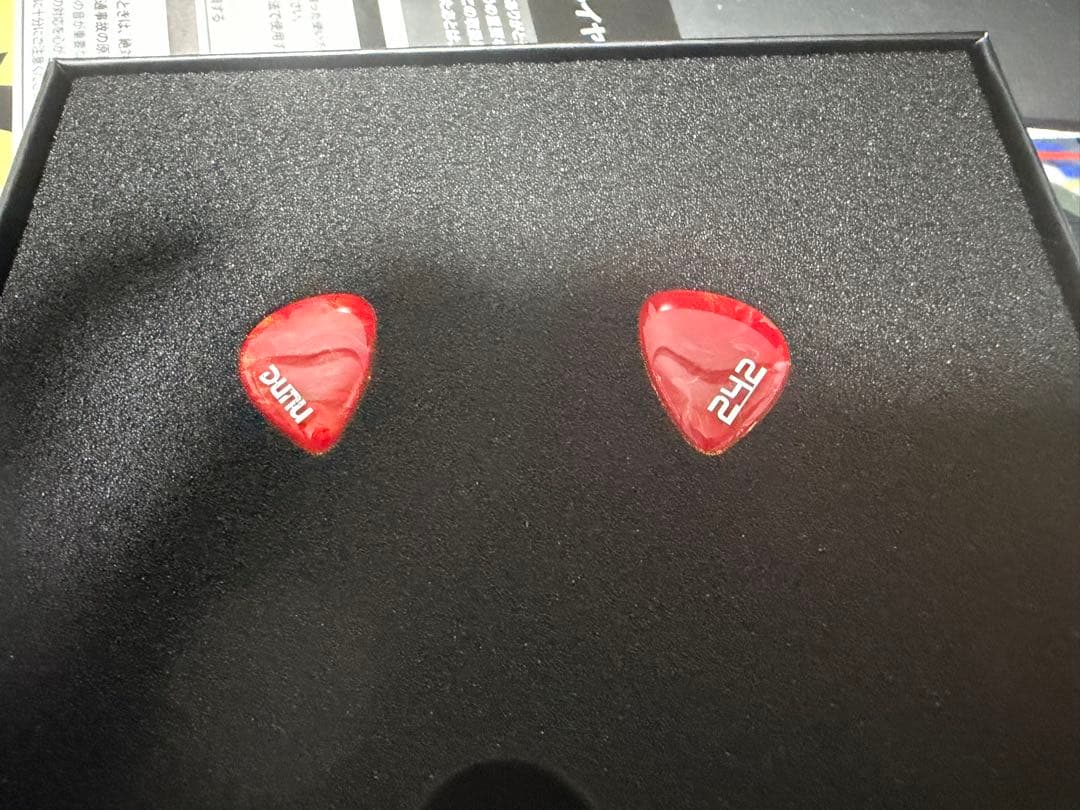 DUNU DN242 赤 リケーブル可能イヤホン