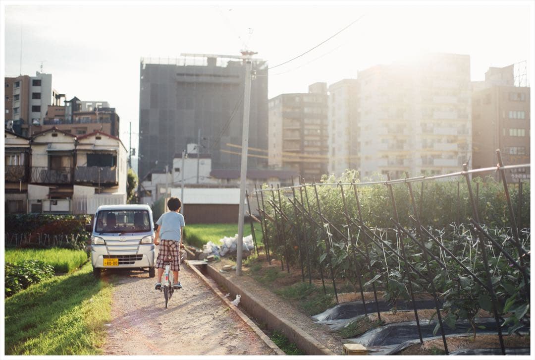レンズ(単焦点) CONTAX Carl Zeiss Planar T* 50mm F1.4 MM