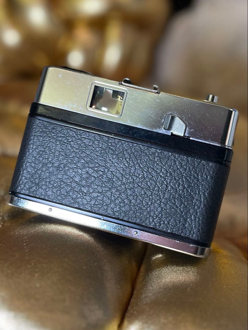 Zeiss Ikon CONTINA LK 革ケース