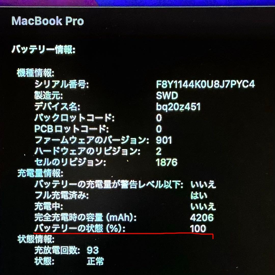 MacBook Pro 13.3/2.0GHz/32GB/1TB 電池100%