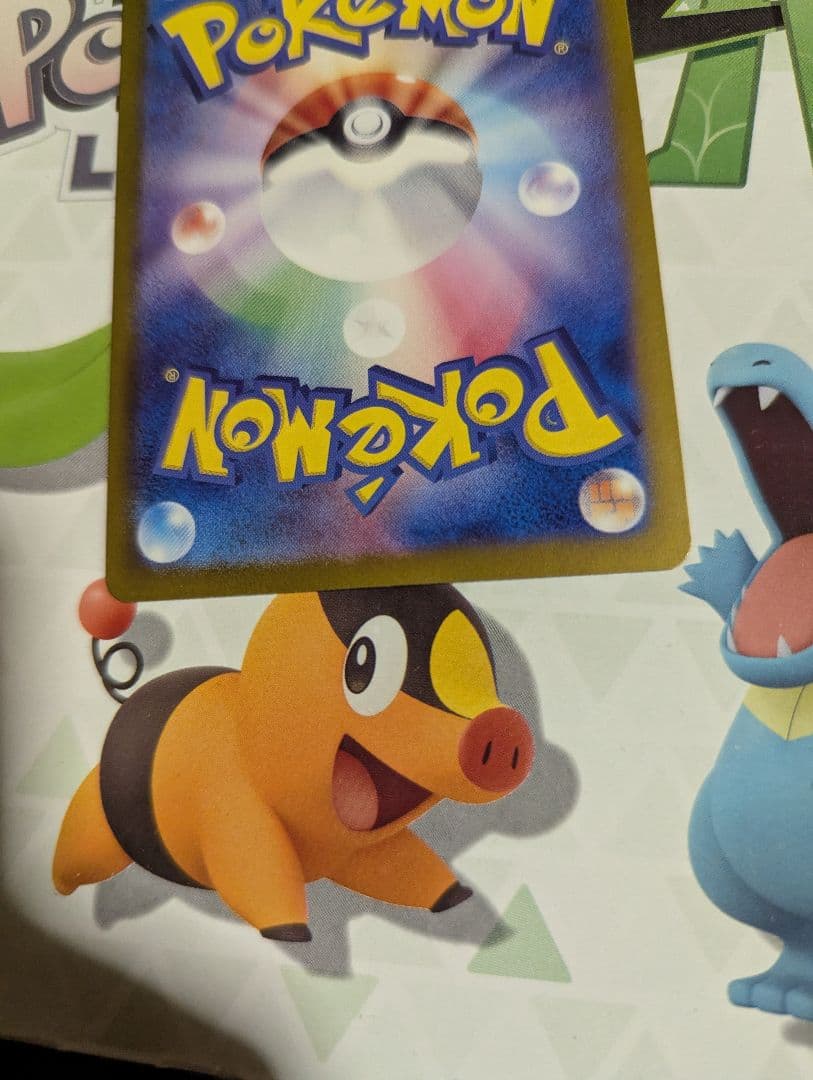 フシギバナex SAR　ポケモン　ポケモンカード