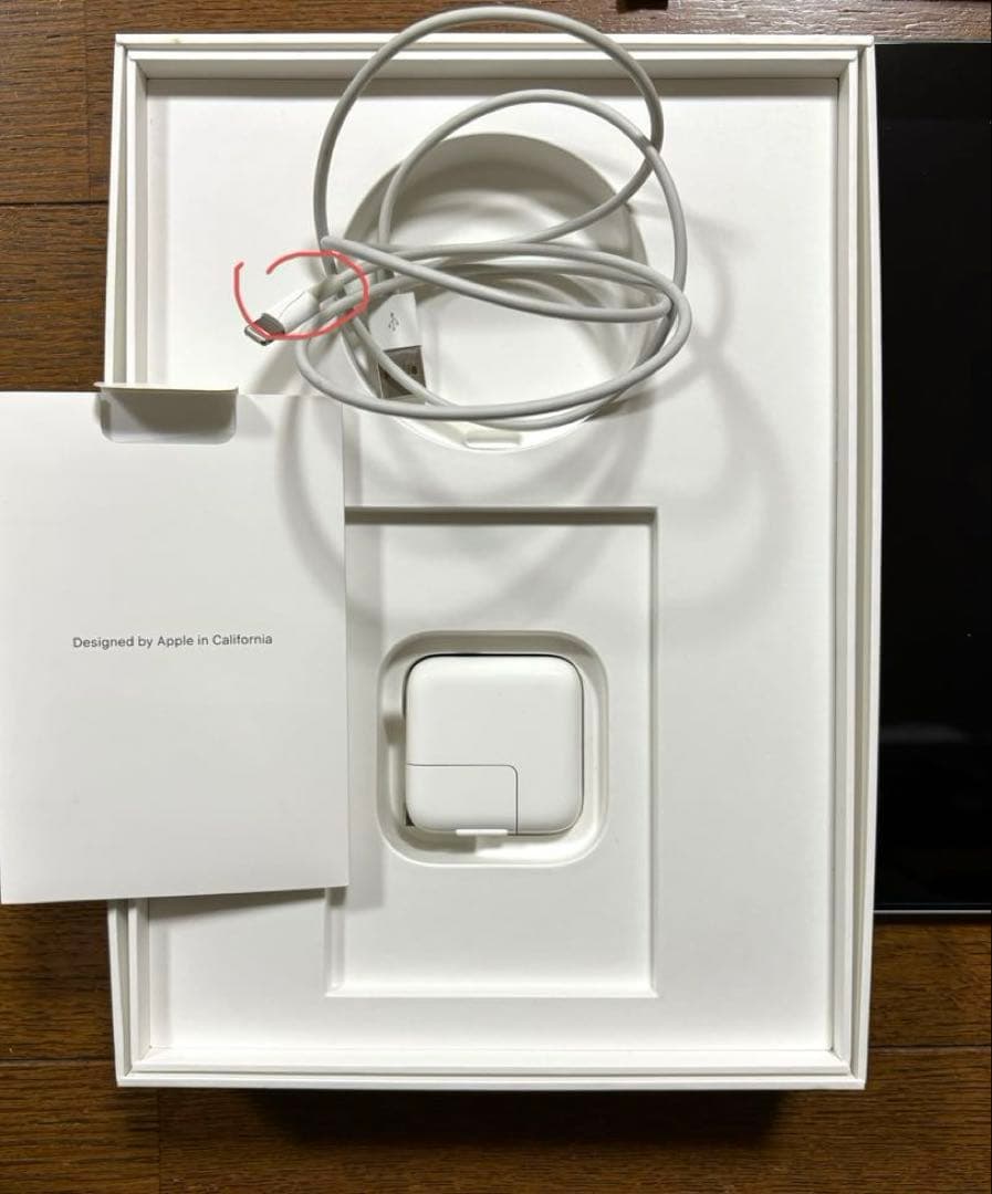 【本日発送】✨シーズー✨