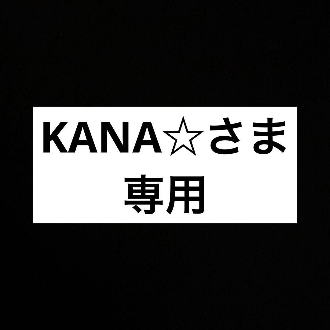 B203 STELLA BEAUTE ステラボーテ リフトブラシPRO