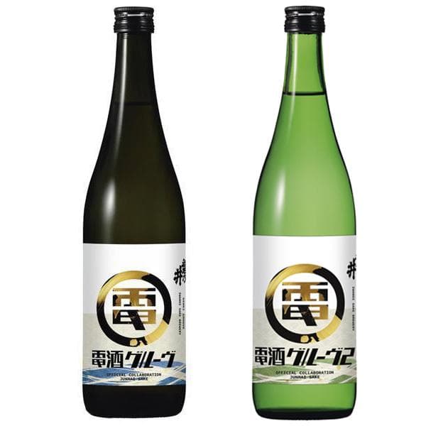 電気グルーヴ 磐乃井酒造 電酒グルーヴ 2本セット 日本酒