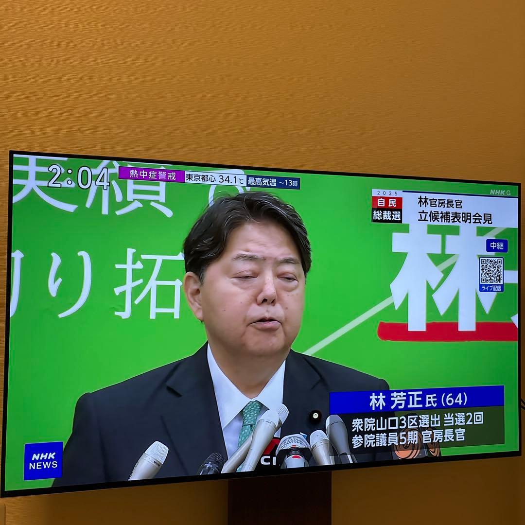 LG C3 42インチ　有機elテレビ