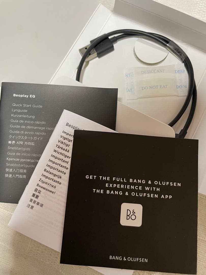 【美品】B&O EQ NoldicIce 希少カラー