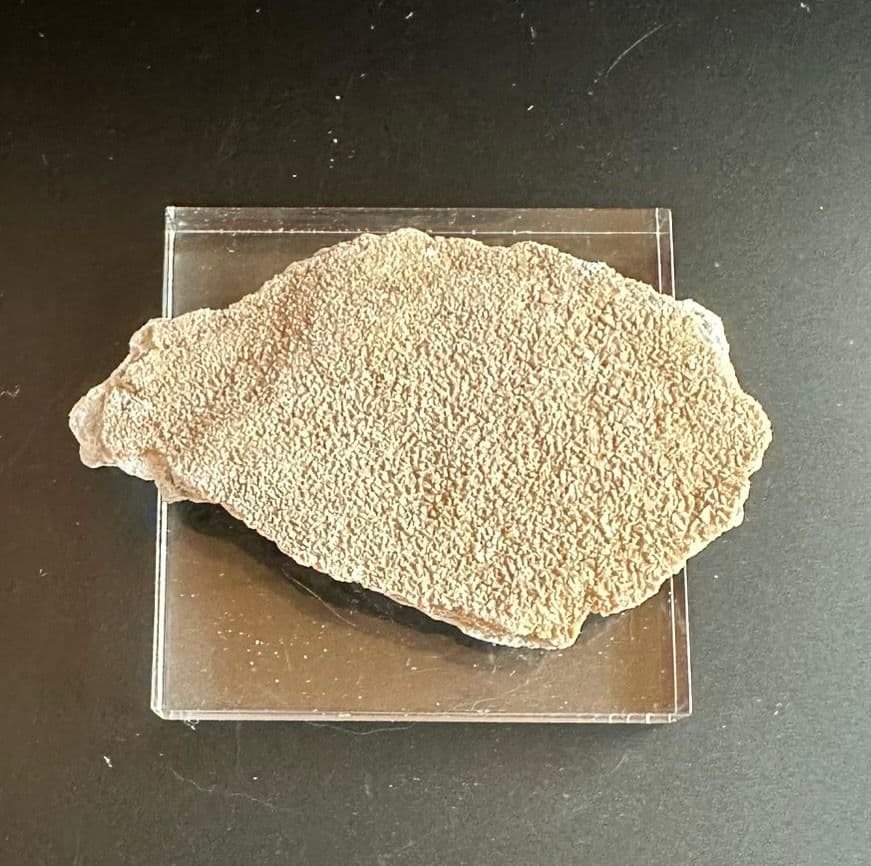 ★秋田発『北投石』２９グラム 100%本物!! 秋田玉川温泉産✨年末年始セール✨