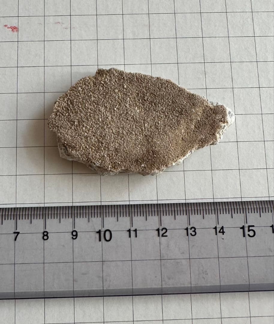 ★秋田発『北投石』２９グラム 100%本物!! 秋田玉川温泉産✨年末年始セール✨