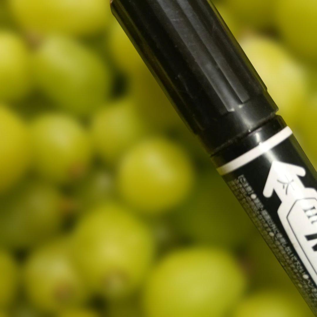 シャインマスカット大粒完熟増量の、徳用5.5キロ入りの粒バック入りになります。