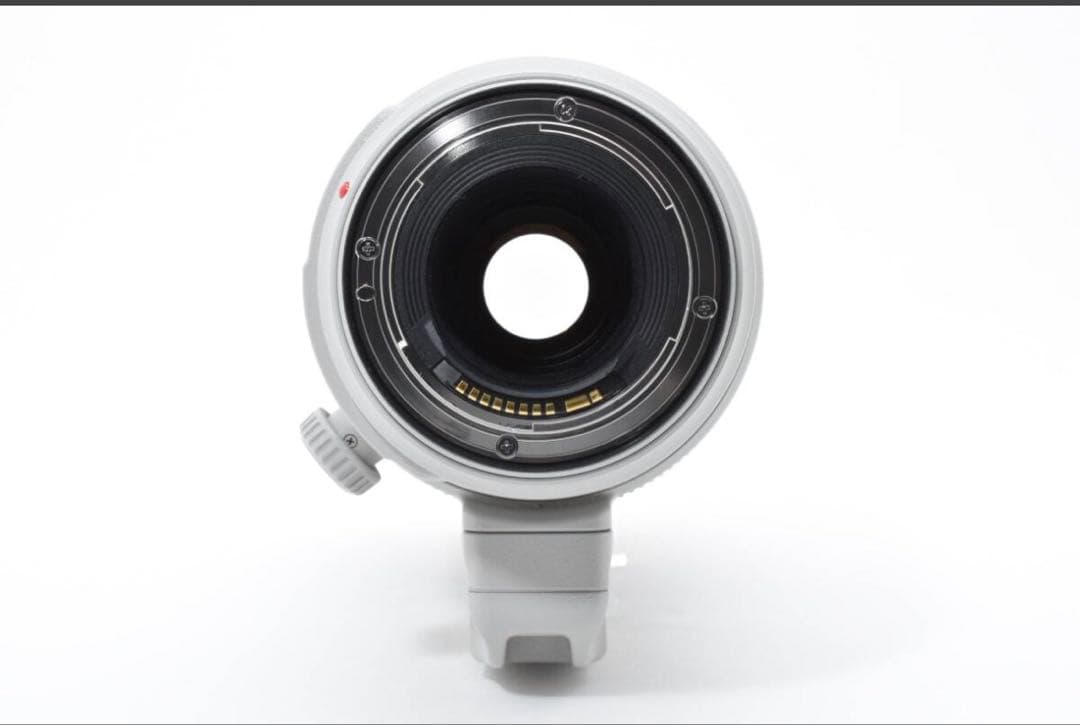 極美品Canon EF100-400mm f4.5-5.6L IS II USM