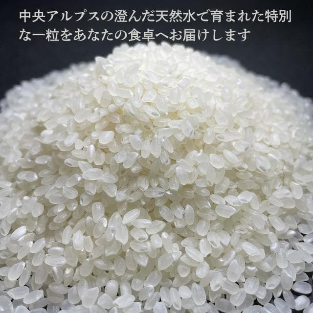 （購入後、精米して発送）令和7年産 コシヒカリ 10㎏ 南信州産