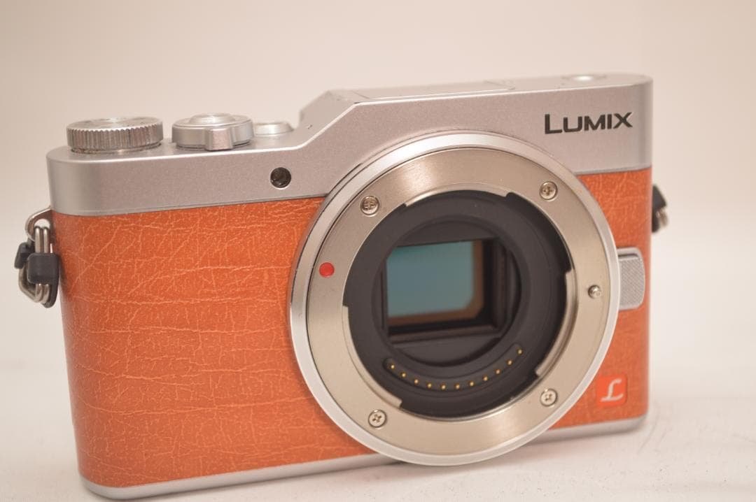 ✨美品✨ Panasonic LUMIX DC-GF9 ミラーレス一眼 ボディ