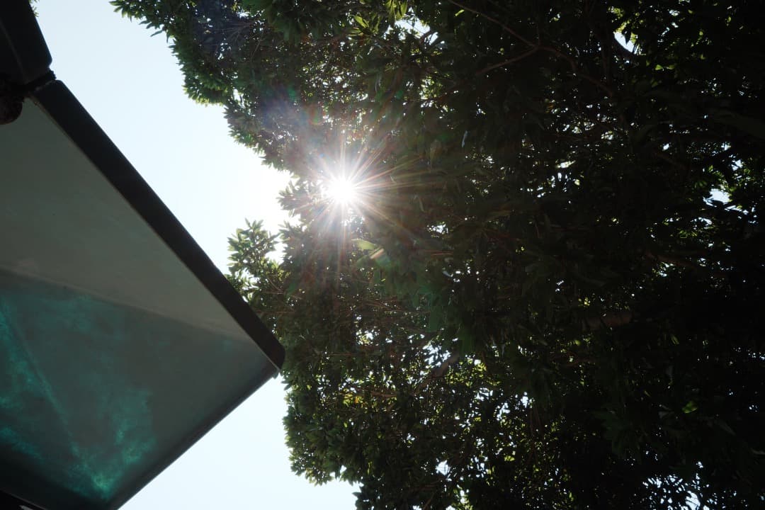 【旅行にこれ1本】動作◎ Carl Zeiss Batis 25mm F2 67