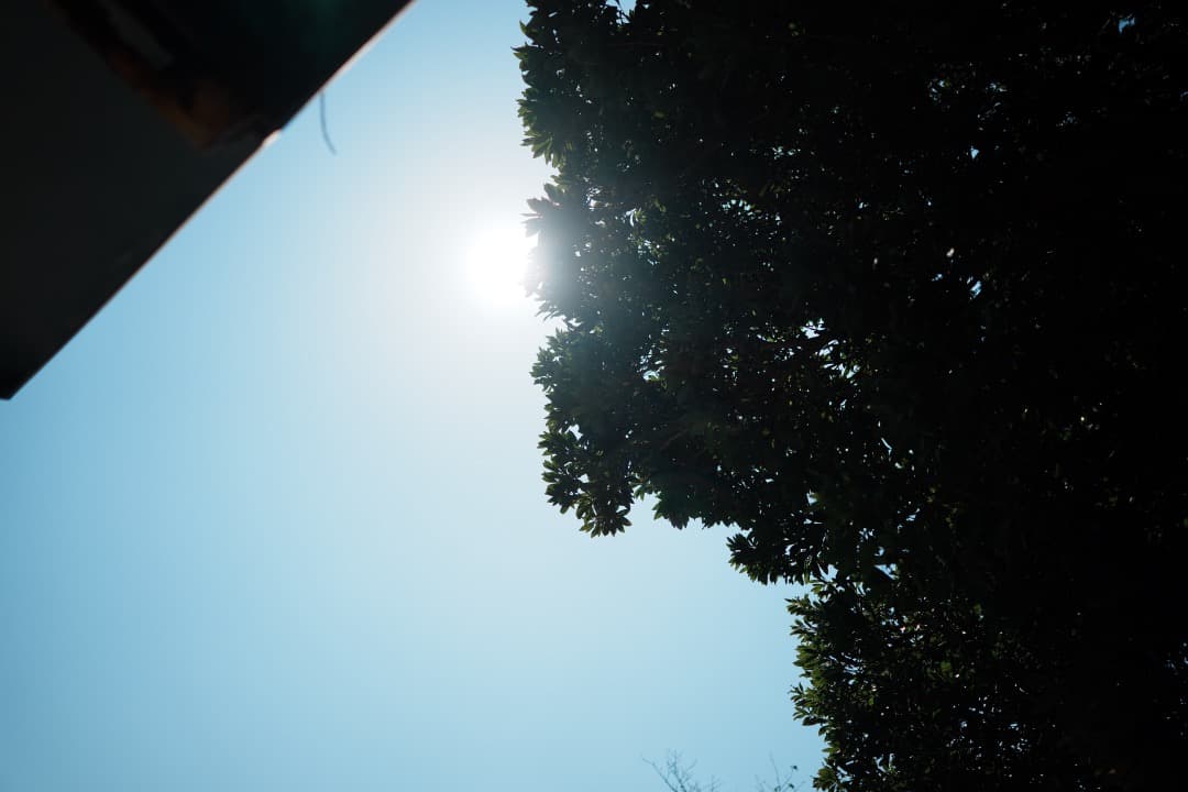 【旅行にこれ1本】動作◎ Carl Zeiss Batis 25mm F2 67