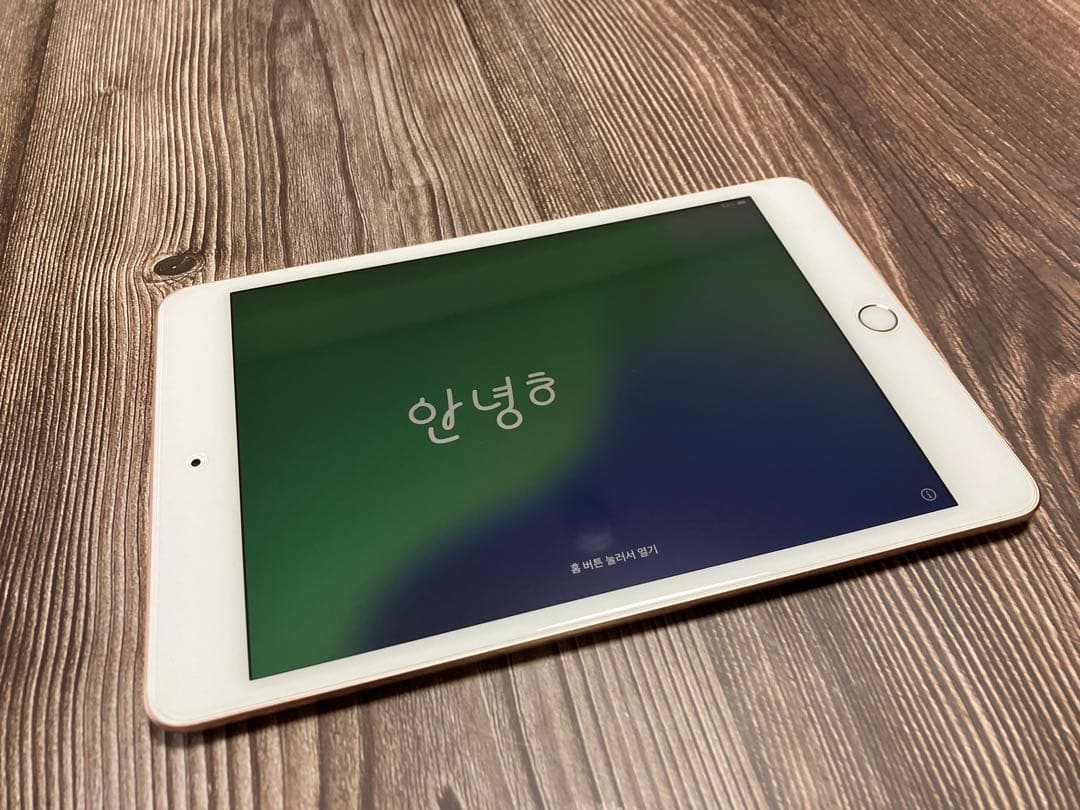 iPad mini 第5世代 64GB ゴールド Wi-Fiモデル 本体のみ