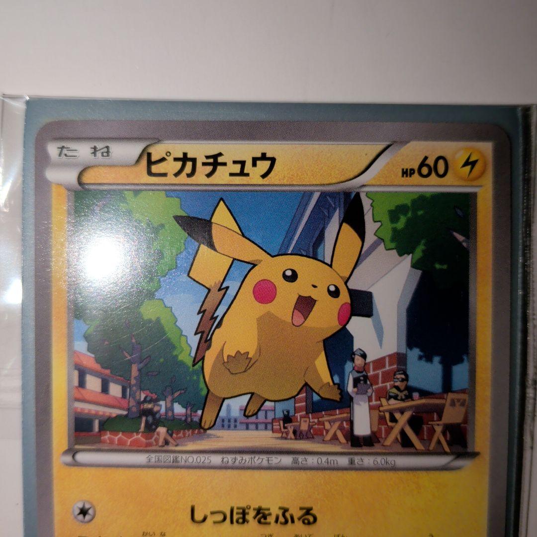 ピカチュウ プロモ 064/XY-P +4種 全5種類