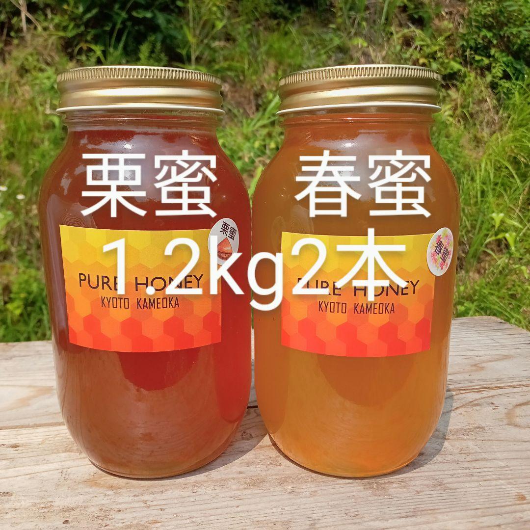 国産　純粋　蜂蜜　はちみつ　1.2kg 2本　春蜜　栗蜜