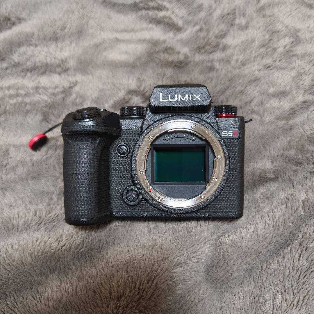 LUMIX S5Ⅱ ダブルレンズキット