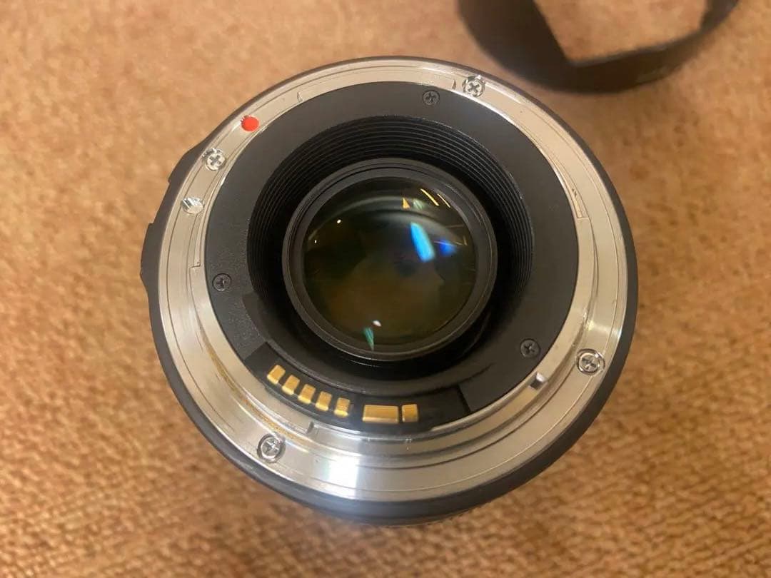 SIGMA 単焦点レンズ 24mm フード付きEXDG F1.8