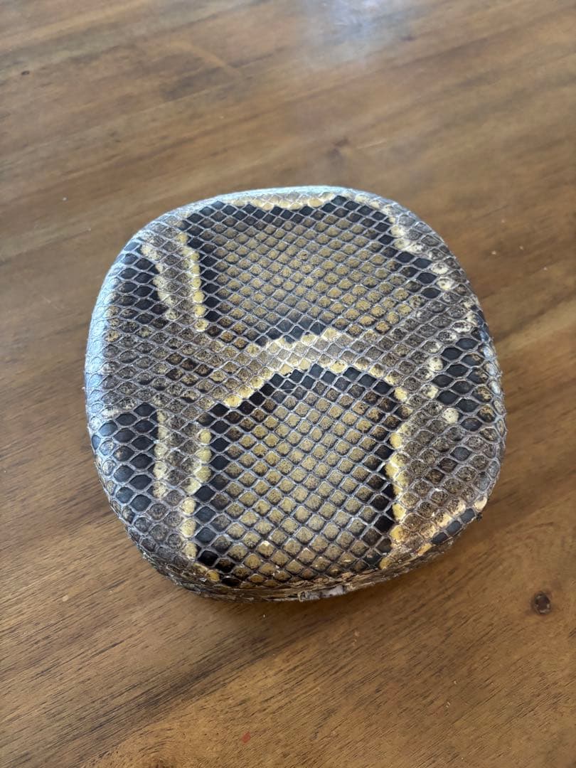 沖縄　三線　チーガ　本革