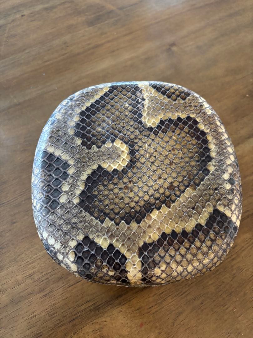 沖縄　三線　チーガ　本革