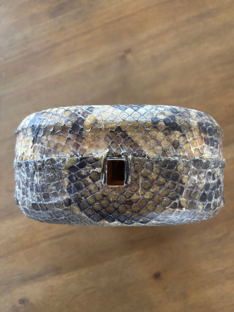 沖縄　三線　チーガ　本革