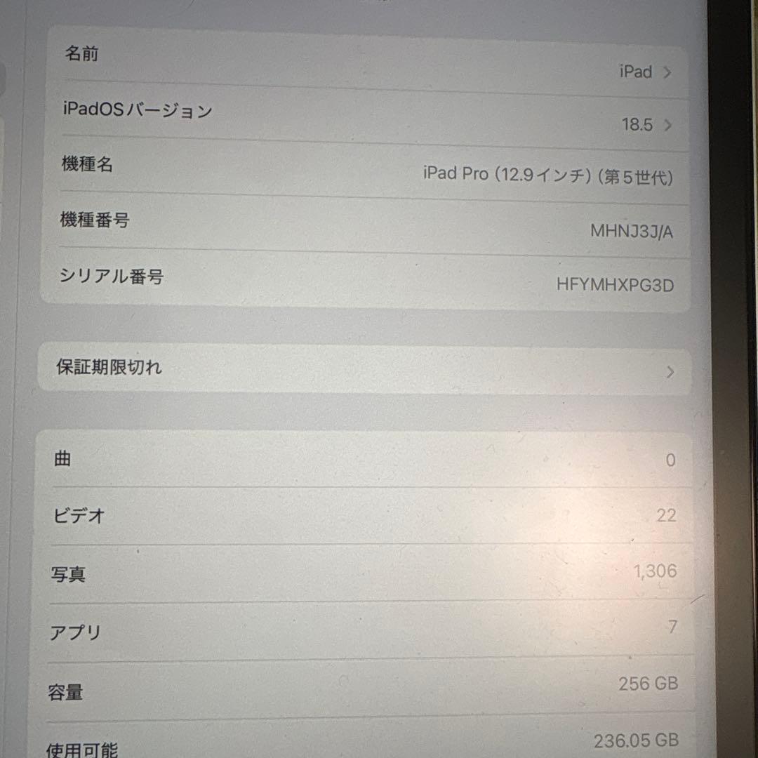 iPad Pro (12.9インチ) 第5世代 256GB