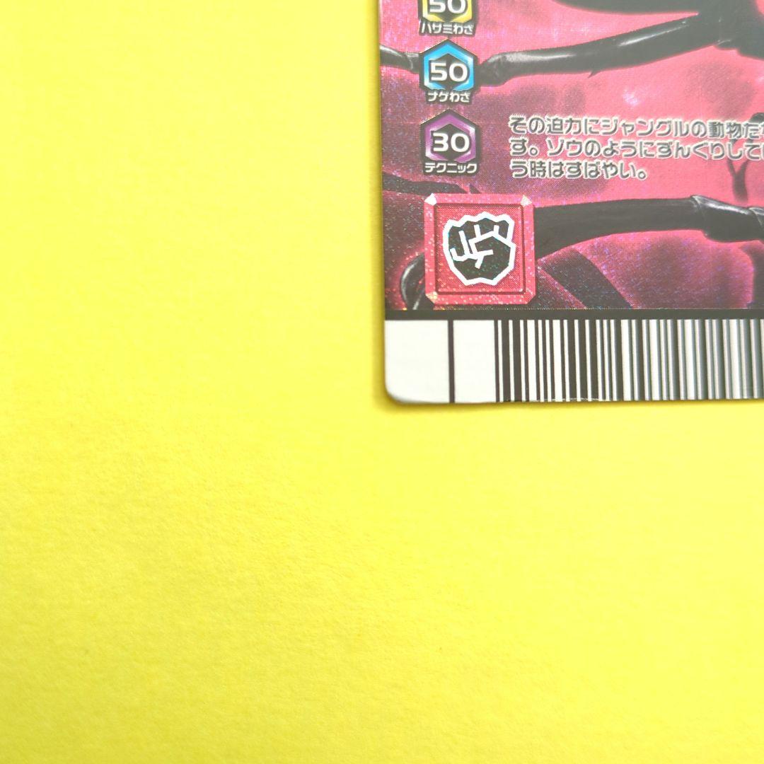 【激レア★希少】ムシキング　アダーコレクション　アクティオンゾウカブト019-A