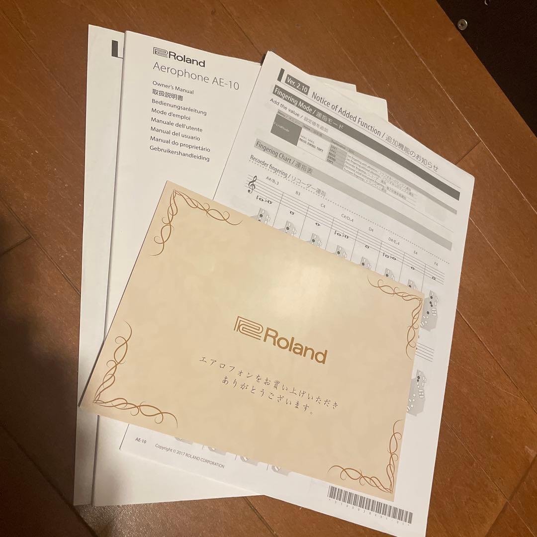 BOSE DS 16F Loudspeaker 天井スピーカー