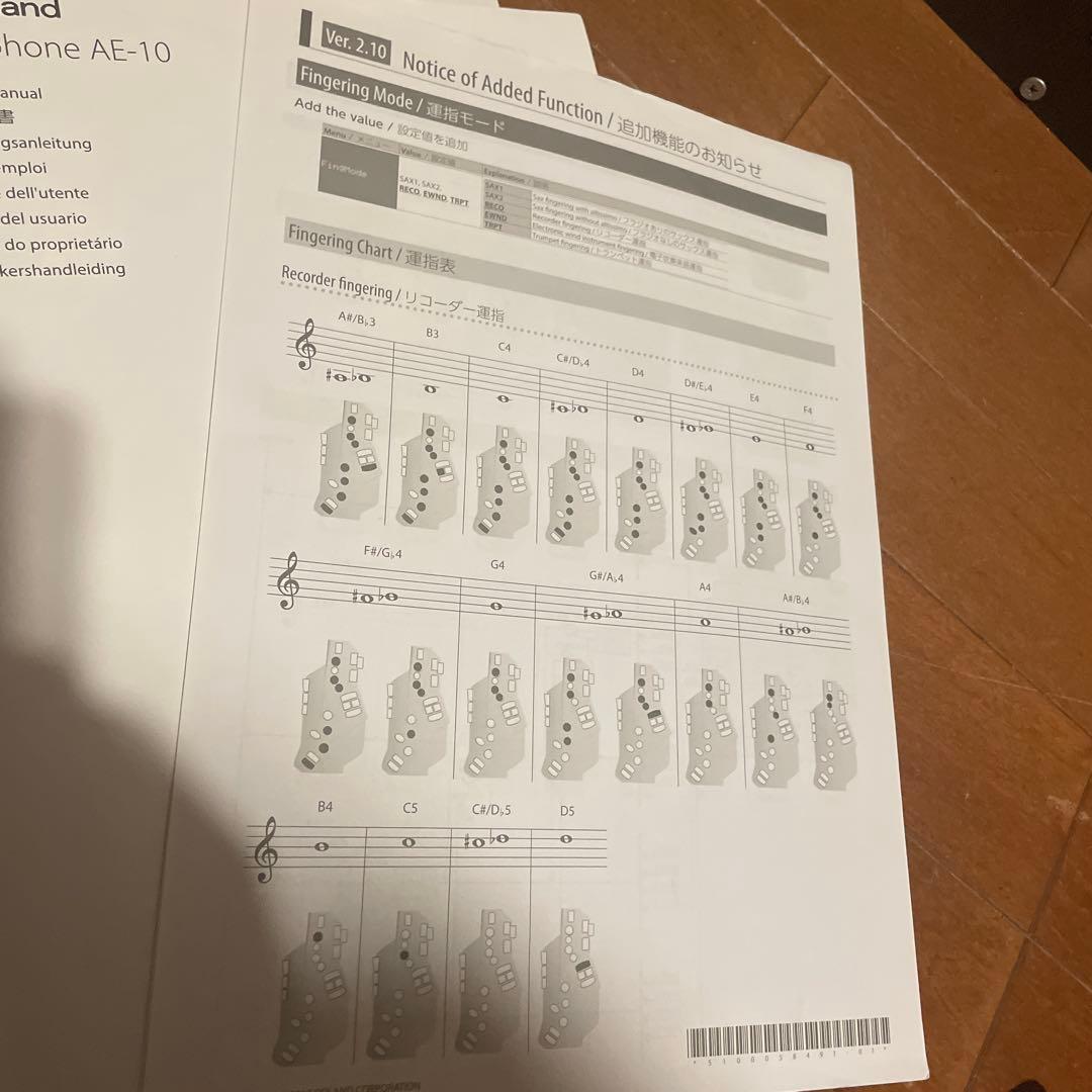 BOSE DS 16F Loudspeaker 天井スピーカー