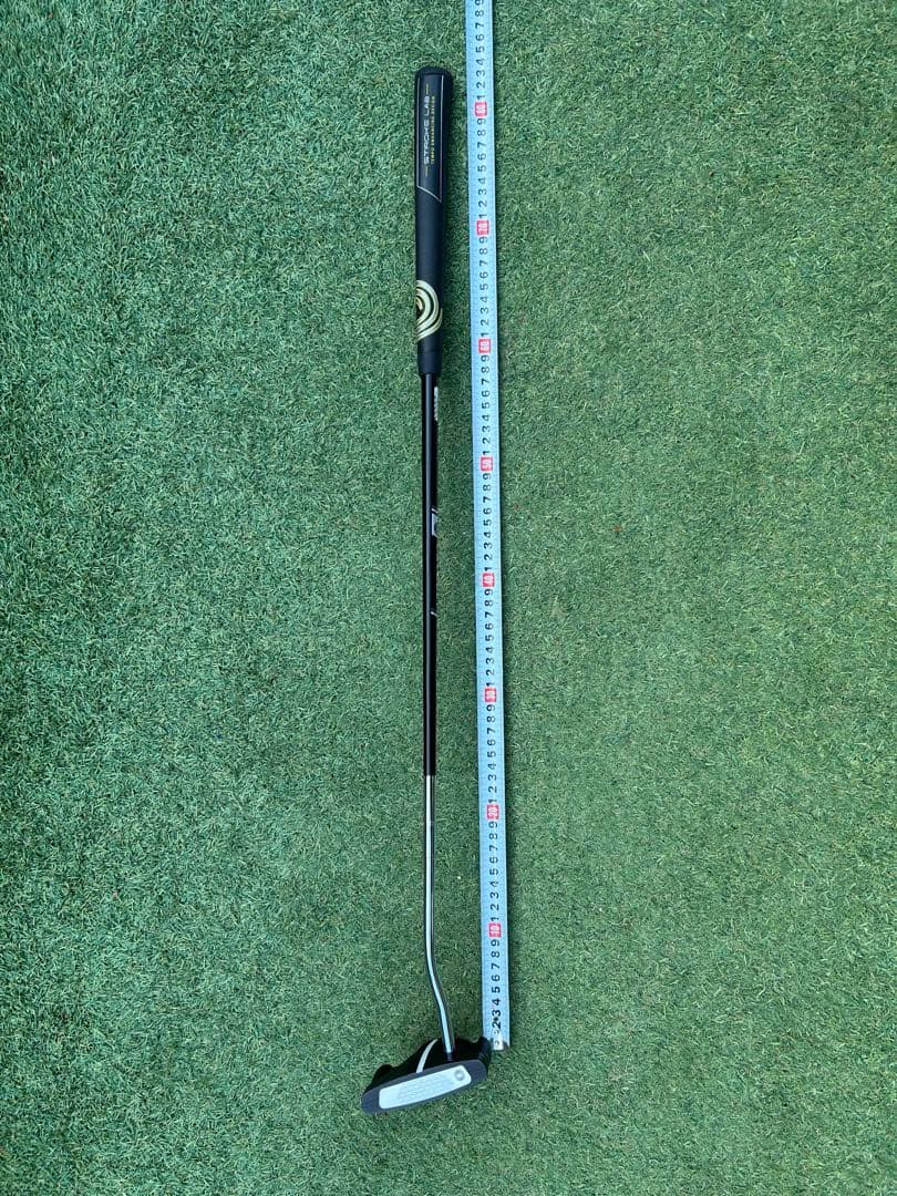 オデッセイ　ストロークラボ　ブラックシリーズ　BIRD OF PREY パター