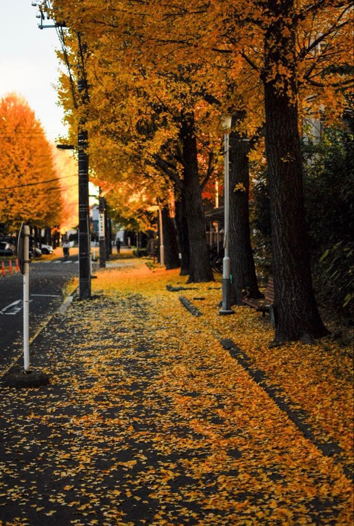 ＊KYYST5＊様専‼️レンズ込み