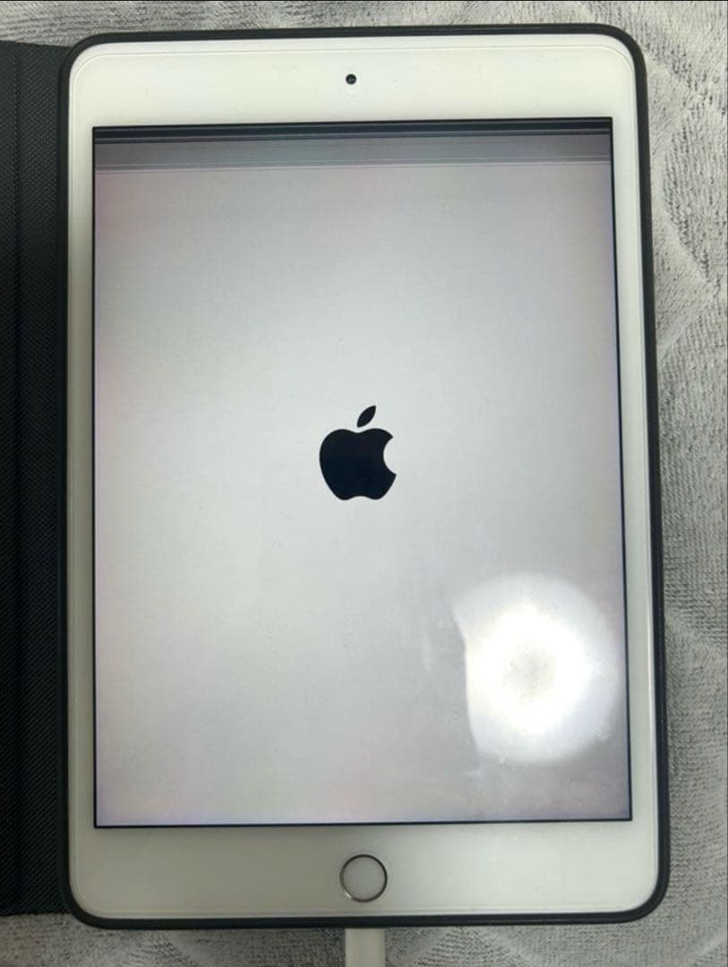 Apple iPad mini 第5世代シルバー ジャンク