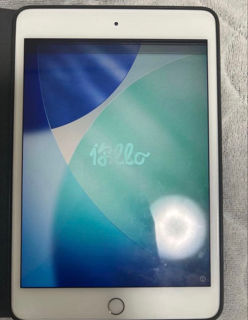 Apple iPad mini 第5世代シルバー ジャンク