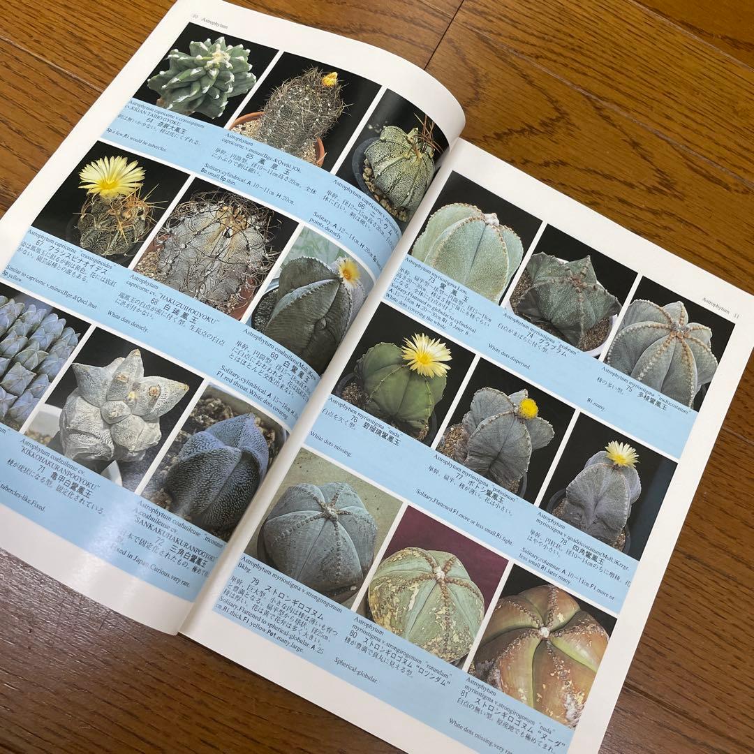 原色サボテン事典 佐藤 勉 1996年