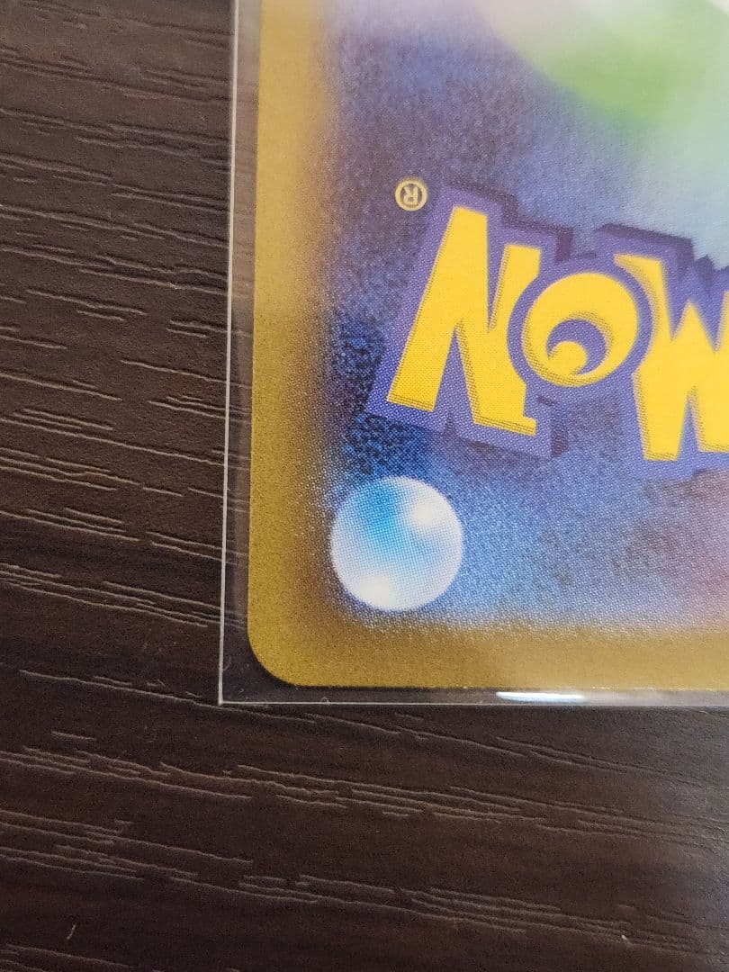 メガリザードンX ex SAR ポケモンカードゲーム