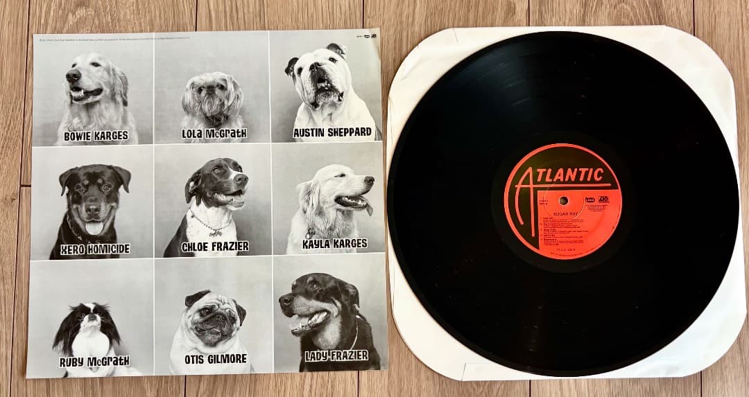 Sugar Ray レコード　アナログ　シュガーレイ