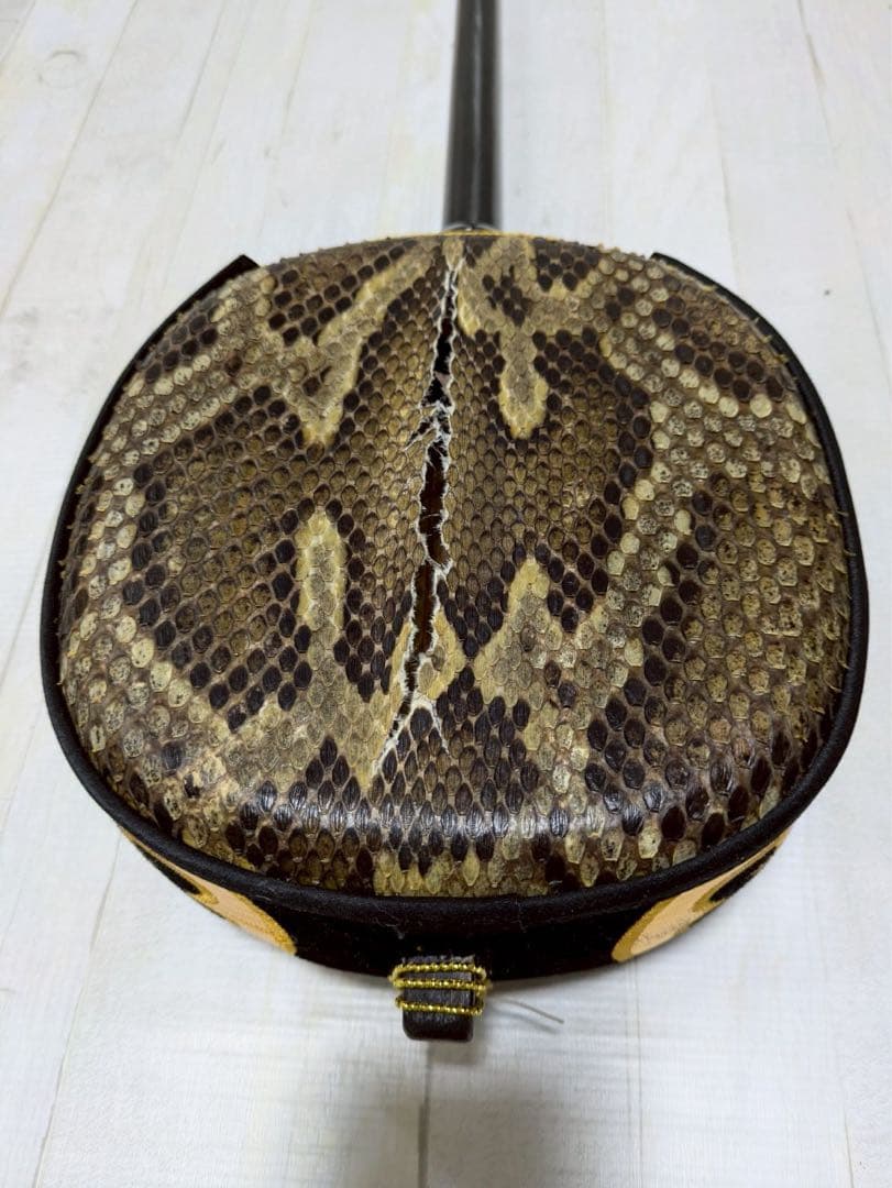 三線　胴 蛇皮（裏側破れ）【ケース付き】 訳あり