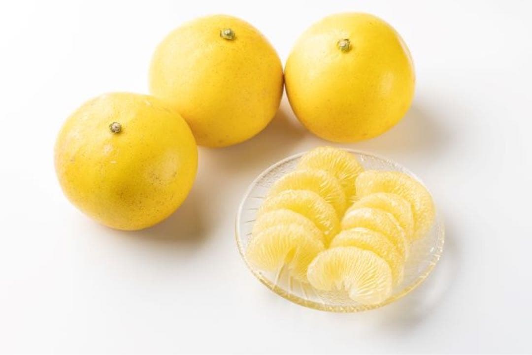 大玉限定☆ご家庭用　高知特産土佐文旦　 4L〜3Lサイズ13〜18玉入り約20㎏