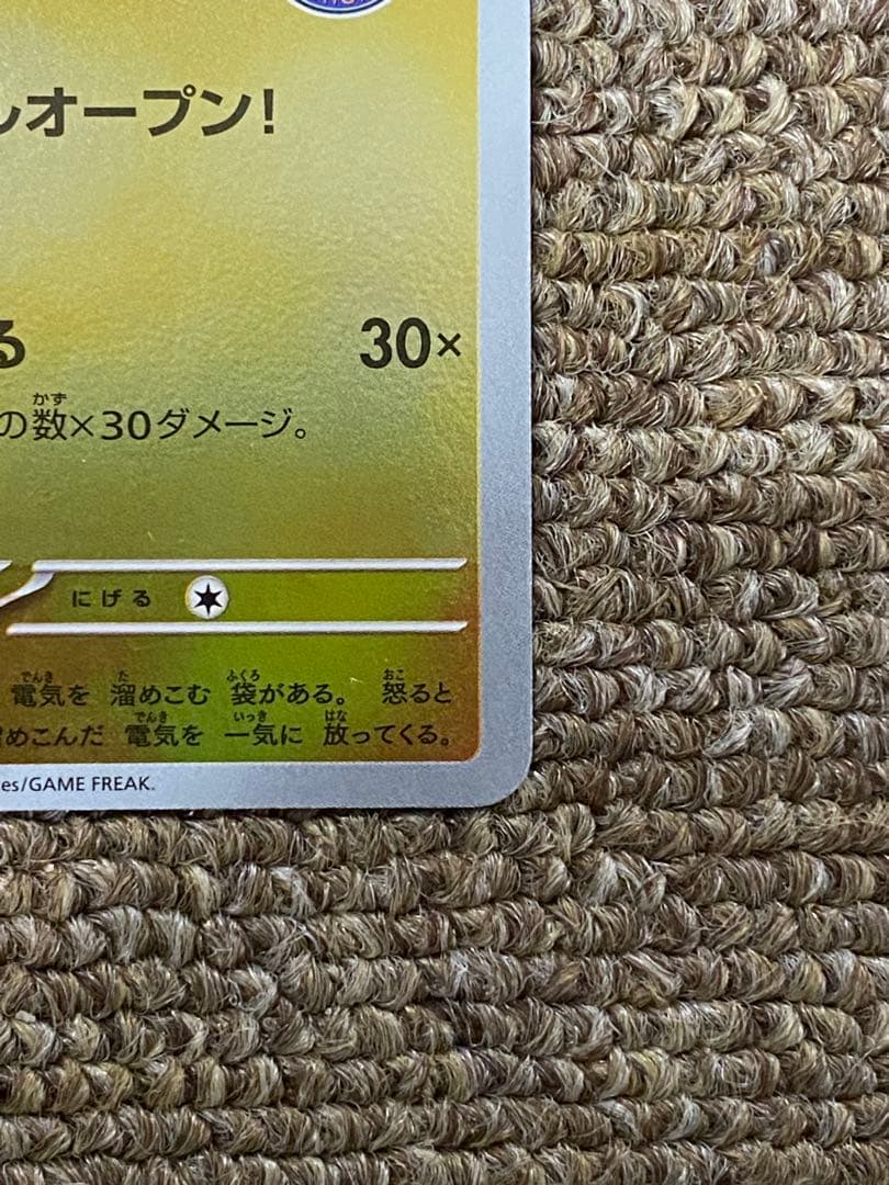 N*k様 トウホクのピカチュウ