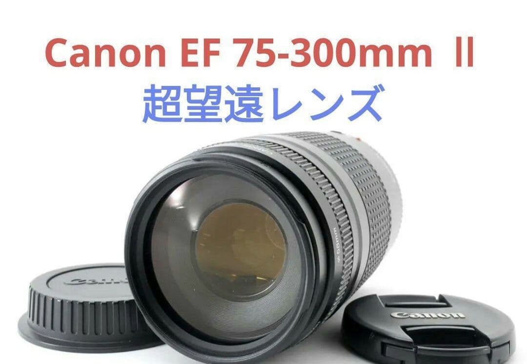11月13日限定特価♪【超望遠レンズ】Canon EF 75-300mm Ⅱ