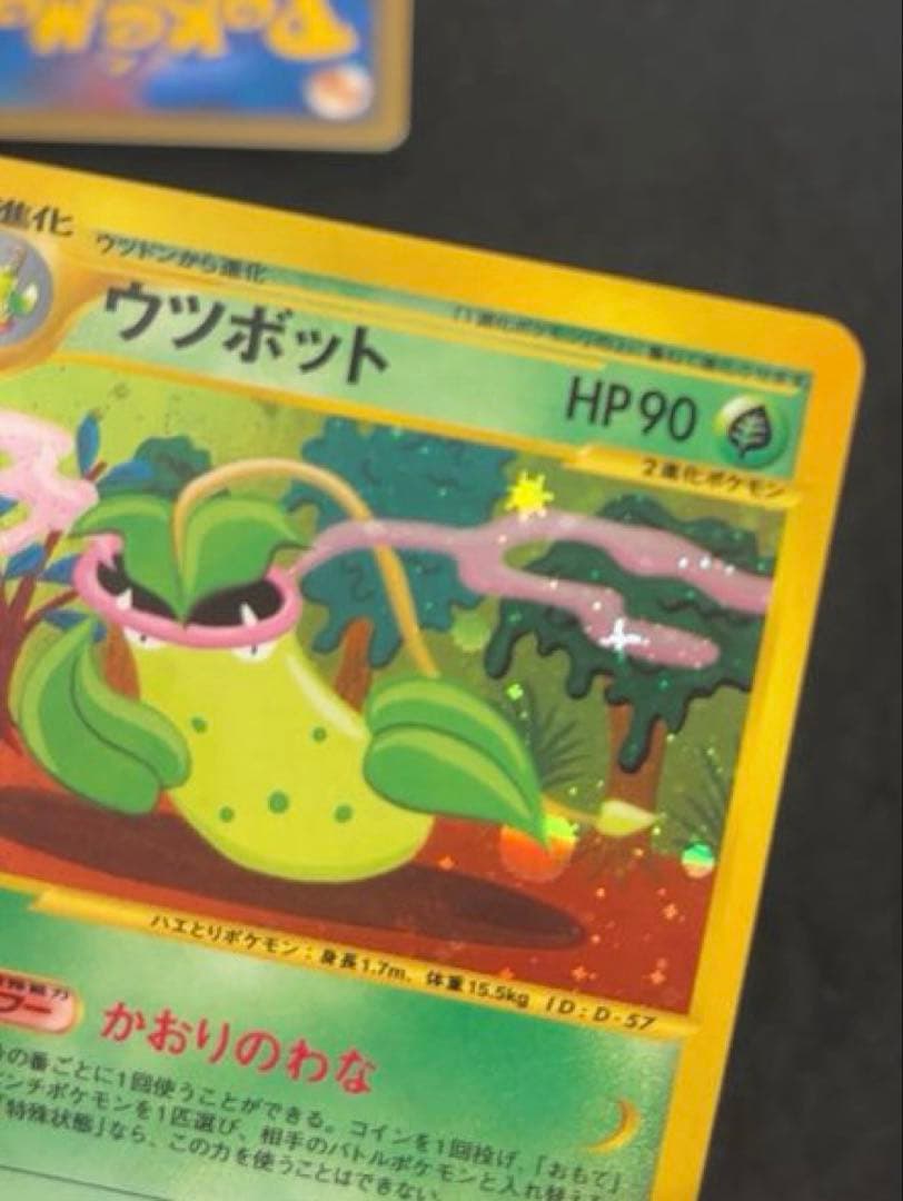 R*様 #ゆんの気まぐれオークション　（竹）　5枚　　マダツボミ　ウツドン　ウツ